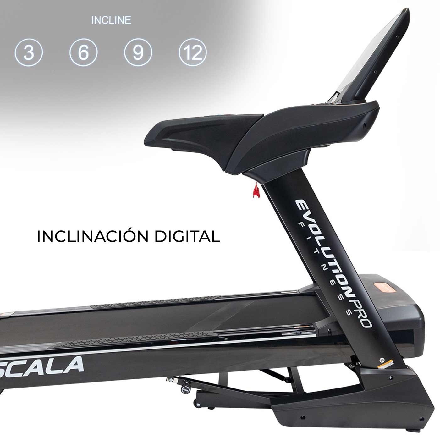 BANDA TROTADORA EVO SCALA